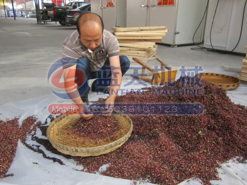 花椒烘干技術解決方案